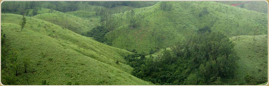 Himaharsham Vagamon is plantation homestay with lot of facilities for tourists. Low rate rooms at Vagamon.