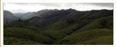 Green meadows at Vagamon