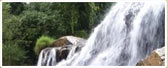 Water falls near Vagamon